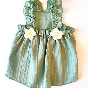 Sage Green Dog Dress with Ruffled Spaghetti Straps and Crochet Daisies, Size M